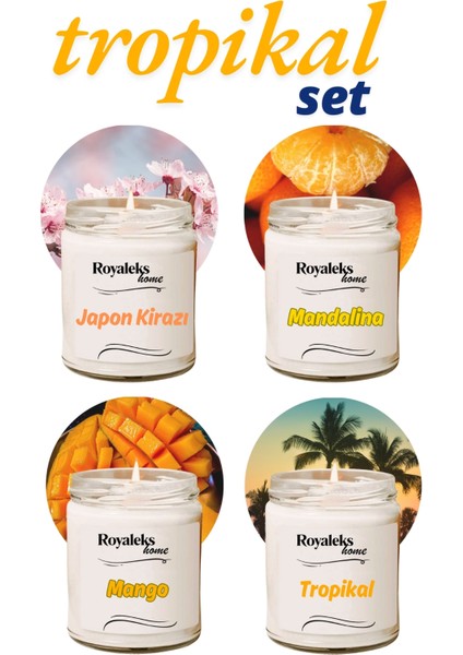 4 Adet Doğal Özel Seri Kokulu Dekoratif Kavanoz Mum 4 x 210 cc - Tropikal Set - Ryl