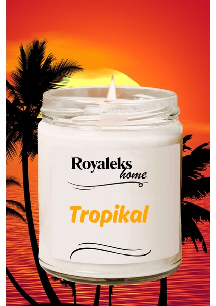 4 Adet Doğal Özel Seri Kokulu Dekoratif Kavanoz Mum 4 x 210 cc - Tropikal Set - Ryl
