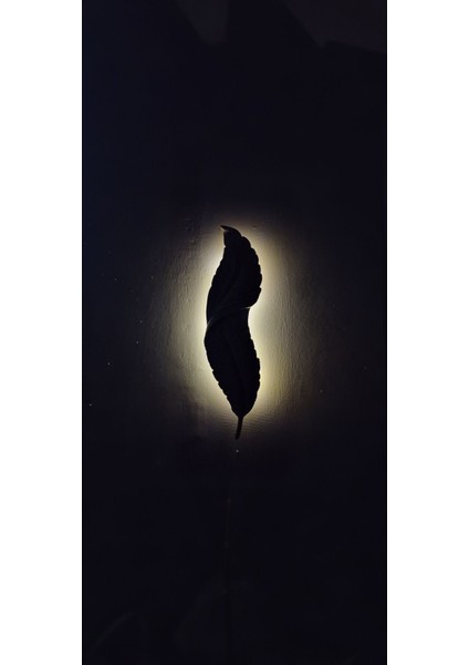 Tüy Aplik Led'li Pilli Dekoratif Duvar Aydınlatma Bej-Gold 60*16 cm