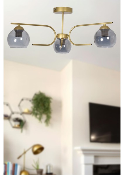 Aloha Modern Tasarım Salon Yatak Odası Mutfak Eskitme Renk Füme Camlı 3 Lü Avize