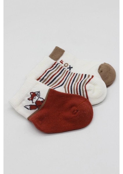 Bistyle 3'lü Penye Soket Çorap BS10109 Kiremit fırsatları