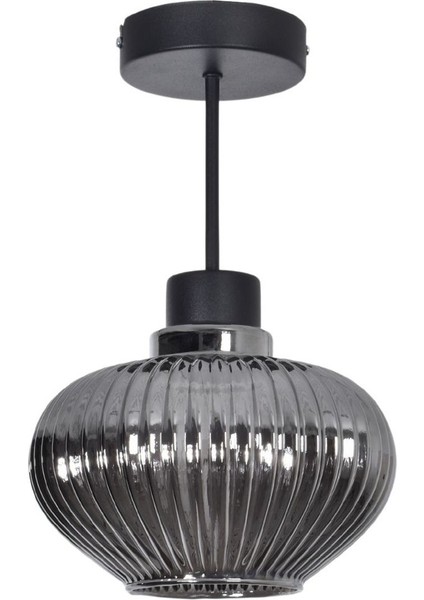 Tokyo Modern Salon - Mutfak - Yatak Odası Camlı Siyah Renk Tekli Tavan Plofonyer Avize