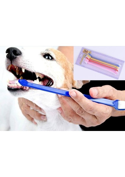 Büro Ev Ofis Evcil Pet Hayvanı Için 4parça Çift Taraflı Kedi Köpek Diş Bakım Fırçası Seti