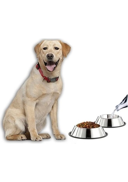 Büro Ev Ofis Evcil Pet Hayvanı Için 34CM Paslanmaz Çelik Kedi Köpek Beslenme Mama Kabı