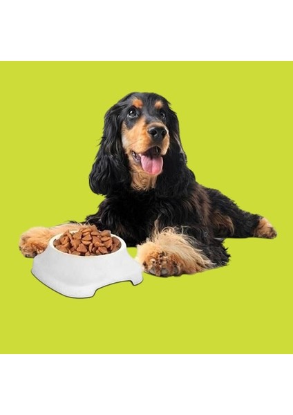 Pratikaı Silikon Kaydırmaz Taban Plastik Kedi & Köpek Mama ve Su Kabı | Sağlam & Pratik