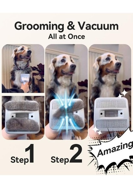 Kedi Köpek Kuaför Traş ve Bakım Seti - Vakumlu Glstd