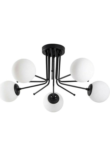 Daisy 5 Li Modern Tasarım-Rustik-Salon-Mutfak-Yatak Odası - Glop Camlı Siyah Avize