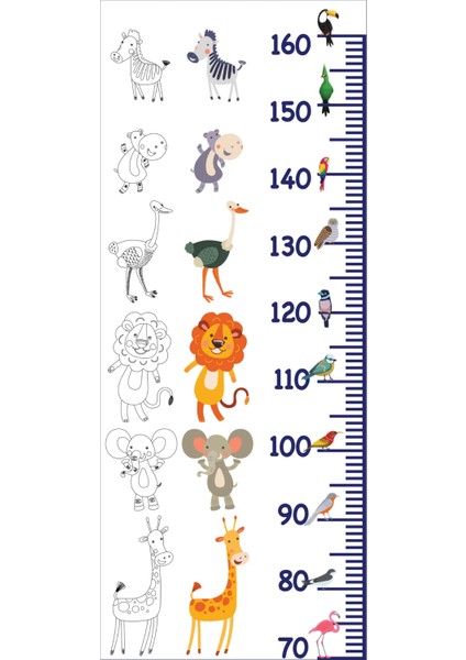 Statik Kağıt Boy Ölçer (Model-18) 40 cm x 95 cm Glstd