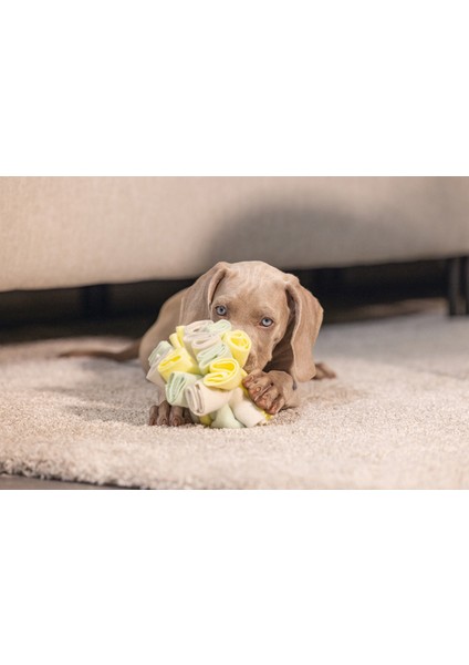 Köpek Ödül Saklama Oyuncağı, Top, Polar, gri/yeşil, 13cm