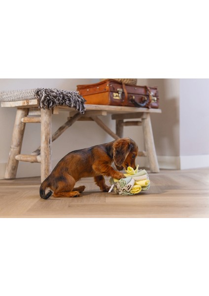 Köpek Ödül Saklama Oyuncağı, Top, Polar, gri/yeşil, 13cm