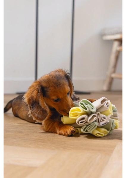Köpek Ödül Saklama Oyuncağı, Top, Polar, gri/yeşil, 13cm