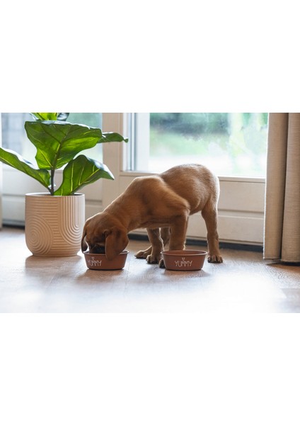 Yavru Köpek Mama Su Kabı, Paslanmaz Çelik, Kaymaz Taban, Kiremit, 13cm, 470ml