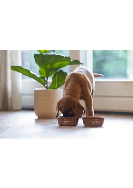 Yavru Köpek Mama Su Kabı, Paslanmaz Çelik, Kaymaz Taban, Kiremit, 13cm, 470ml