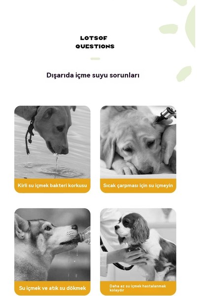 Dışarı Çıkmak Için Taşınabilir Evcil Hayvan Su Isıtıcısı Açık Içme (Yurt Dışından)