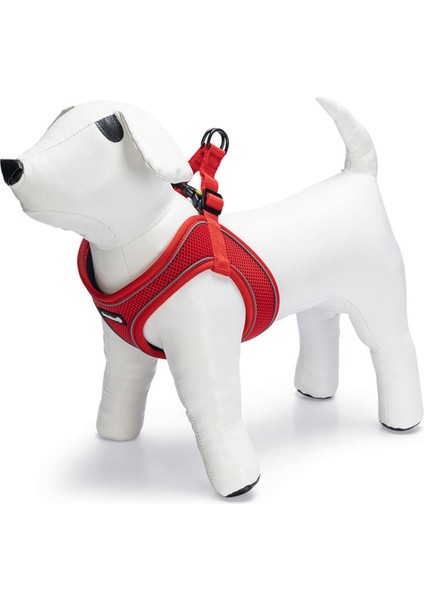 Köpek Göğüs Tasması, Neopren, Kırmızı, S, 38-44cm