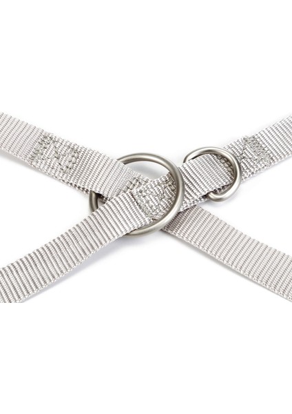 Köpek Gezdirme Kayışı, Açık Gri, 120cm, 20mm
