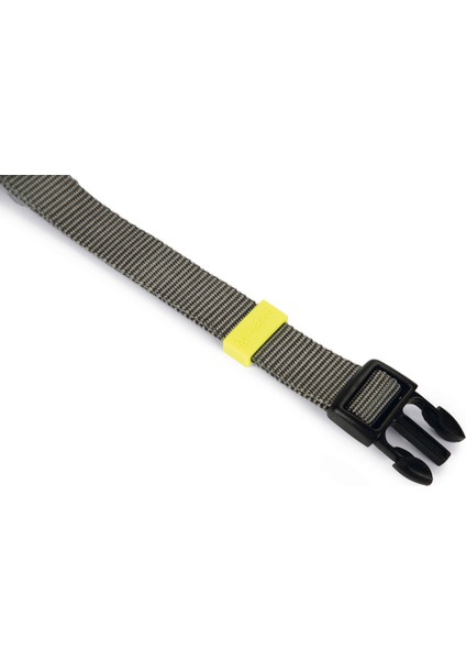 Köpek Boyun Tasması, Antrasit, 35-50cm