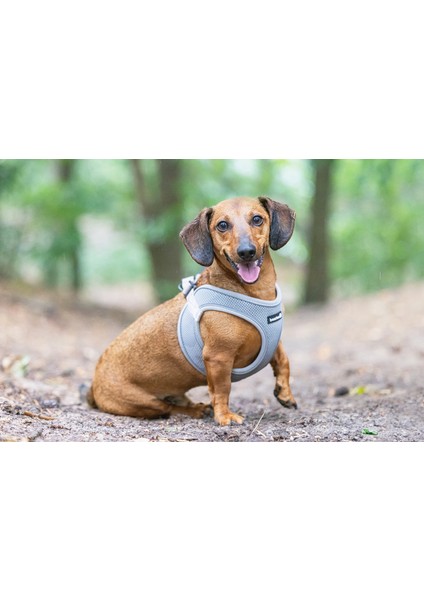 Köpek Göğüs Tasması, Neopren, Yeşil, xs, 30-35cm