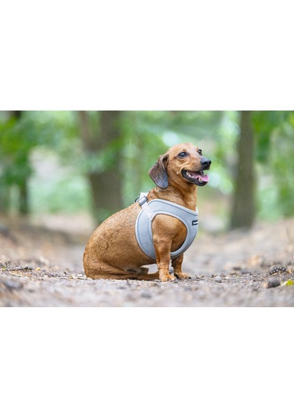 Köpek Göğüs Tasması, Neopren, Yeşil, xs, 30-35cm