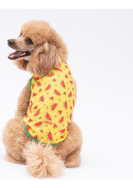Watermelon Kedi Köpek Tişörtü - Kedi Köpek Kıyafeti
