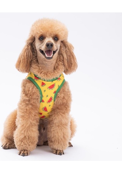 Watermelon Kedi Köpek Tişörtü - Kedi Köpek Kıyafeti fiyatları