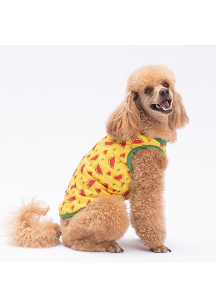 Watermelon Kedi Köpek Tişörtü - Kedi Köpek Kıyafeti modelleri