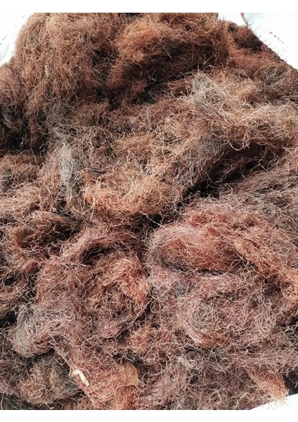 Mısır Püskülü 500 gr Organik ( Doğal Kurutulmuş, Elenmiş, Katkısız ) fiyatları