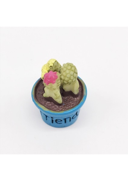 3 Pcs Mini Bebek Evi Mobilya Çiçek Bahçesi Sahne Dekorasyon Reçine Etli Bonsai Saksı(4) (Yurt Dışından)
