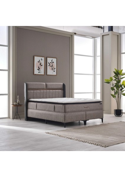 Therapy Pro Yatak