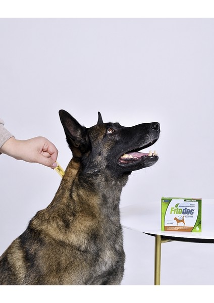 Köpek Deri ve Tüy Sağlığı 20-40 kg Köpekler Için