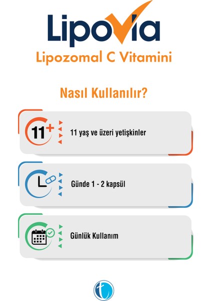 Lipozomal Vitamin C 60 Bitkisel Kapsül
