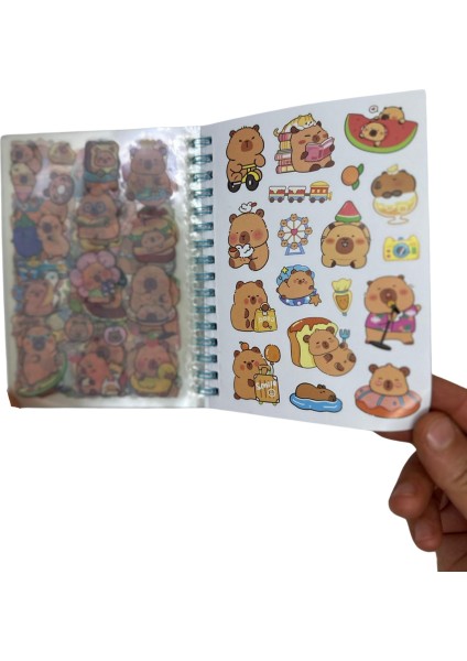 Kapibara Sticker Defteri -Şeffaf ve Kağıt Sticker (16 Sayfa) fırsatları