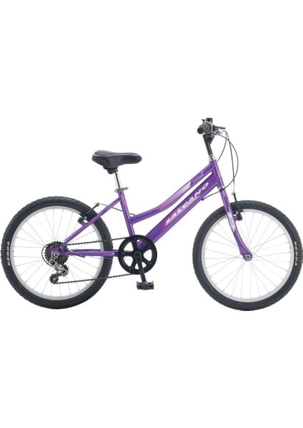 Excel Lady 20 Jant V Fren Çocuk Bisikleti 2025 Model