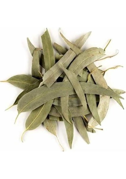 Okaliptus Yaprağı 200 gr Doğal Kurutulmuş Organik Saf Katkısız Elenmiş