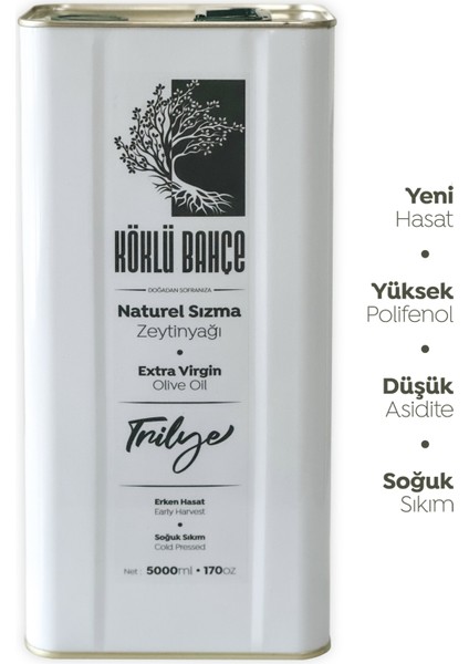 Yeni Sezon Güney Ege Natürel Soğuk Sıkım Zeytinyağı 5lt (FİLTRE EDİLMEMİŞ)