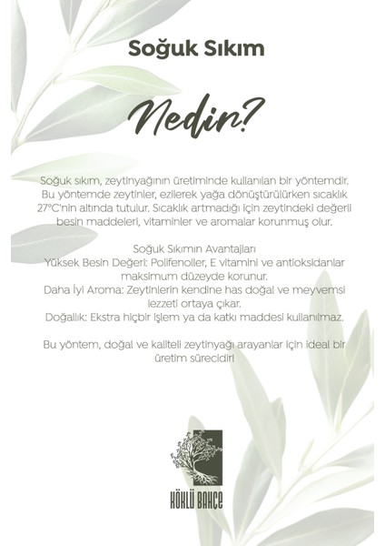 Yeni Sezon Güney Ege Natürel Soğuk Sıkım Zeytinyağı 5lt (FİLTRE EDİLMEMİŞ)