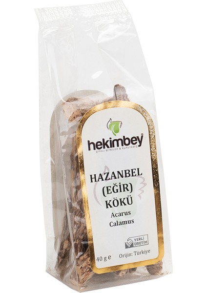 Hazanbel ( Eğir ) Kökü