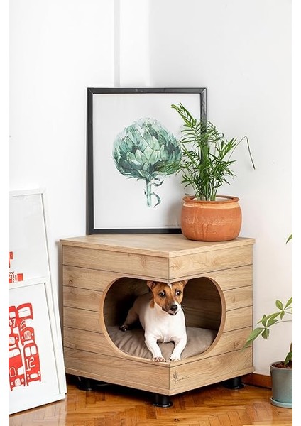 Kedi Köpek Kulubesi