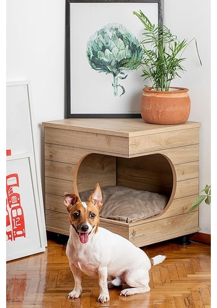 Kedi Köpek Kulubesi
