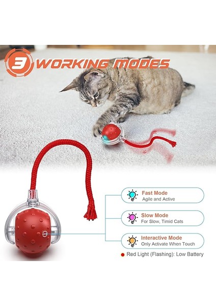 Iokheıra Etkileşimli Kedi Topu Oyuncağı, Elektrikli Otomatik Kedi Oyuncağı, Ev Kedileri Için, Şarj Edilebilir, Düzensiz Hareket Eden Kedi Oyuncağı fiyatları