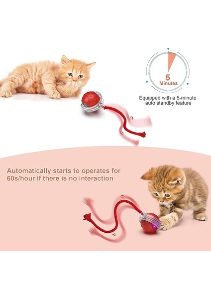 Iokheıra Etkileşimli Kedi Topu Oyuncağı, Elektrikli Otomatik Kedi Oyuncağı, Ev Kedileri Için, Şarj Edilebilir, Düzensiz Hareket Eden Kedi Oyuncağı modelleri