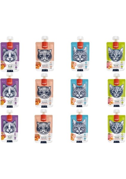 Wanpy 4 Çeşit Kedi Et Ezmesi (90GR x 12 Adet)