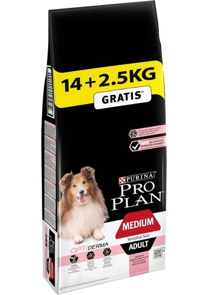 Medium Somonlu Kuru Köpek Maması, Yetişkin, 14 kg + 2.5 kg Hediye