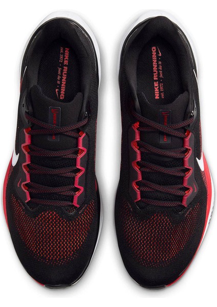 Aır Zoom Pegasus 41 Siyah Erkek Koşu & Antrenman Ayakkabısı FD2722-003
