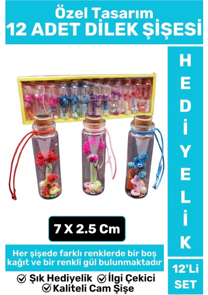 Özel Tasarım Yüksek Kaliteli Cam Dekoratif Hediyelik Sevgili Çift Sevgililer Günü 12'li Dilek Şişesi