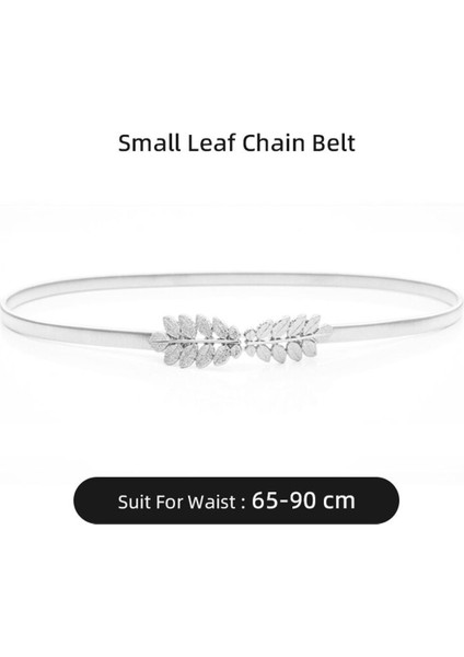 Elastik Altın Zincir Kemer Kadın Bel Uzun Korse Kemerler Kadınlar Için Lüks Gümüş Metal Kuşak Ince Elbise Kemer (Yurt Dışından)