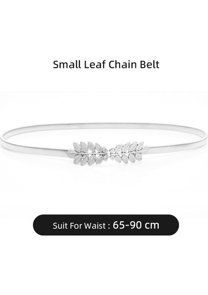 Elastik Altın Zincir Kemer Kadın Bel Uzun Korse Kemerler Kadınlar Için Lüks Gümüş Metal Kuşak Ince Elbise Kemer (Yurt Dışından) fiyatları