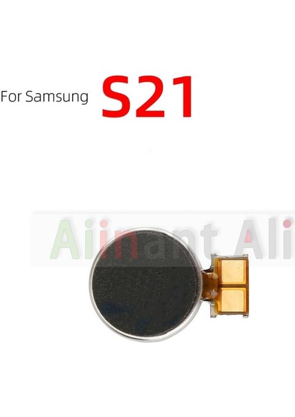 Motor Samsung Galaxy Not 5 8 9 10 20 S6 S7 S8 S9 S10 S20 S21 Kenar Artı Ultra Lite Titreşim Buzzer Flex Kablo (Yurt Dışından)