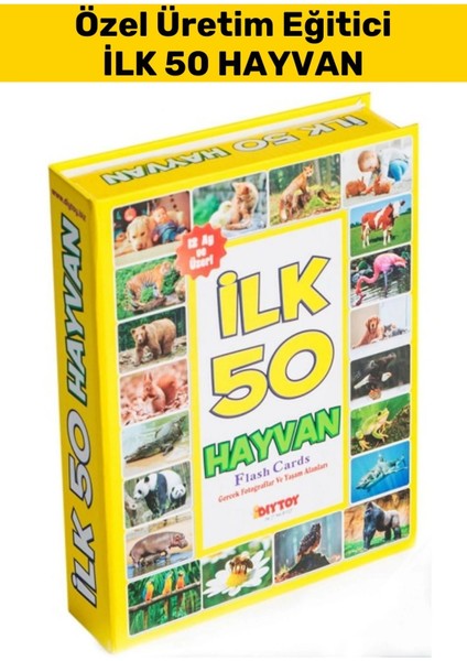 Özel Seri El Göz Koordinasyon Görsel Algı Geliştirici Hayvan Isimleri Öğretici Ilk 50 Hayvan