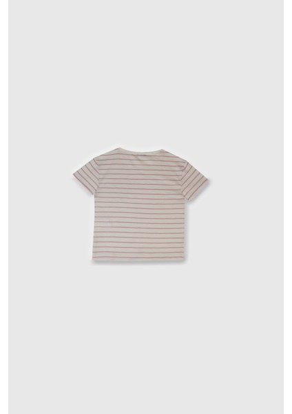 Kız Çocuk Tshirt BNT-G22038-177 modelleri